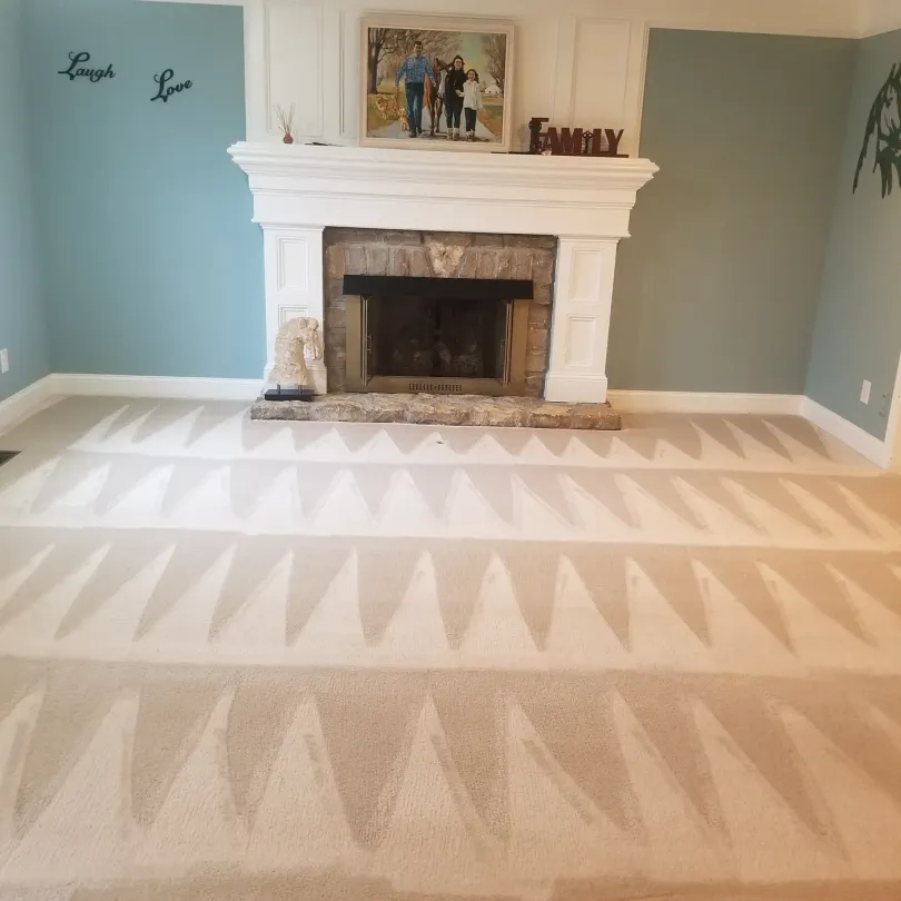 Carpet cleaning