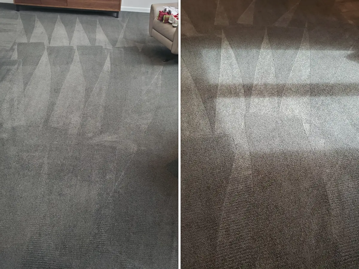 Side-by-side carpet cleaning results in Independence, MO — pet stains and traffic lanes removed